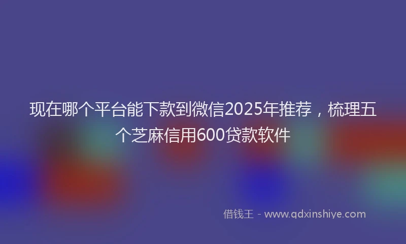 现在哪个平台能下款到微信2025年推荐，梳理五个芝麻信用600贷款软件