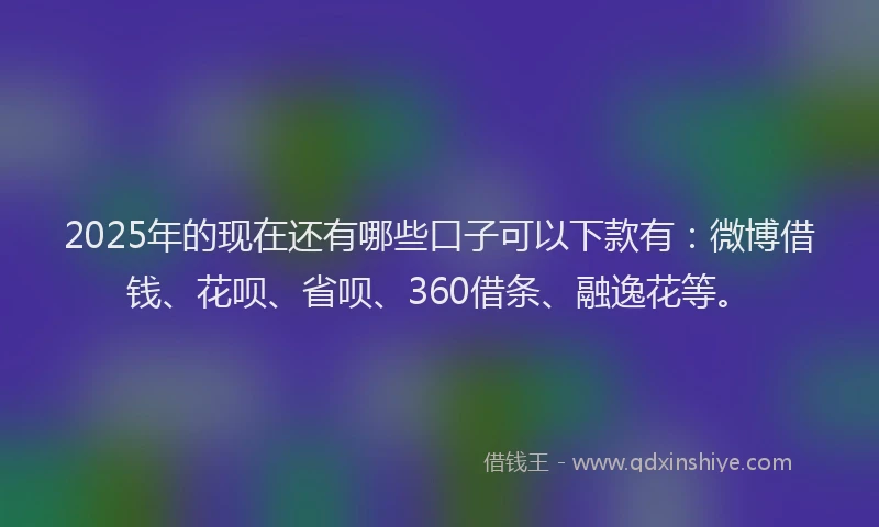 2025年的现在还有哪些口子可以下款有：微博借钱、花呗、省呗、360借条、融逸花等。