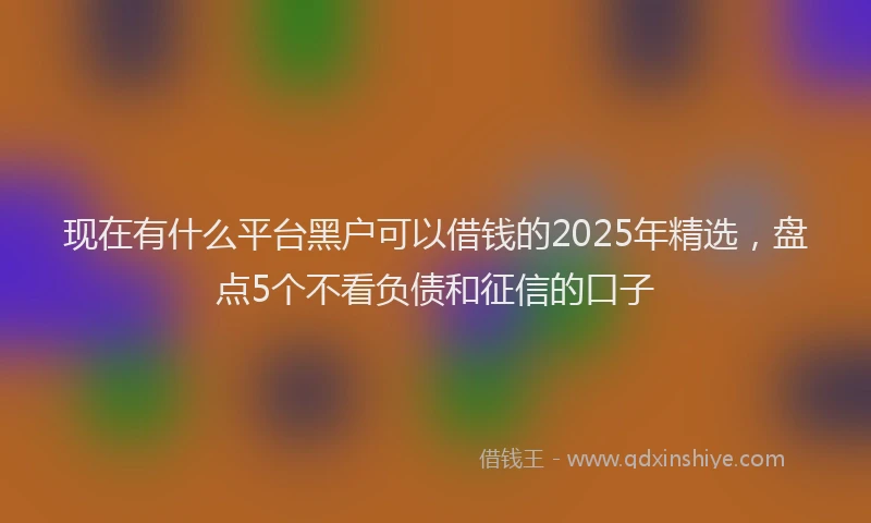 现在有什么平台黑户可以借钱的2025年精选，盘点5个不看负债和征信的口子