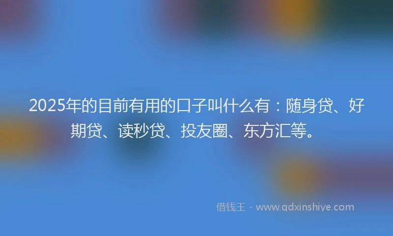2025年的目前有用的口子叫什么有：随身贷、好期贷、读秒贷、投友圈、东方汇等。
