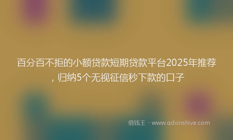百分百不拒的小额贷款短期贷款平台2025年推荐，归纳5个无视征信秒下款的口子