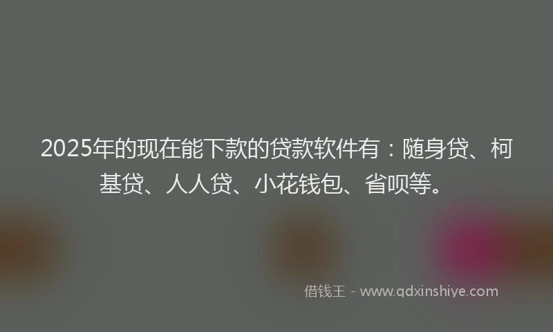 2025年的现在能下款的贷款软件有：随身贷、柯基贷、人人贷、小花钱包、省呗等。