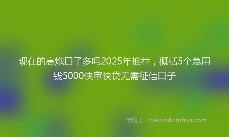 现在的高炮口子多吗2025年推荐，概括5个急用钱5000快审快贷无需征信口子