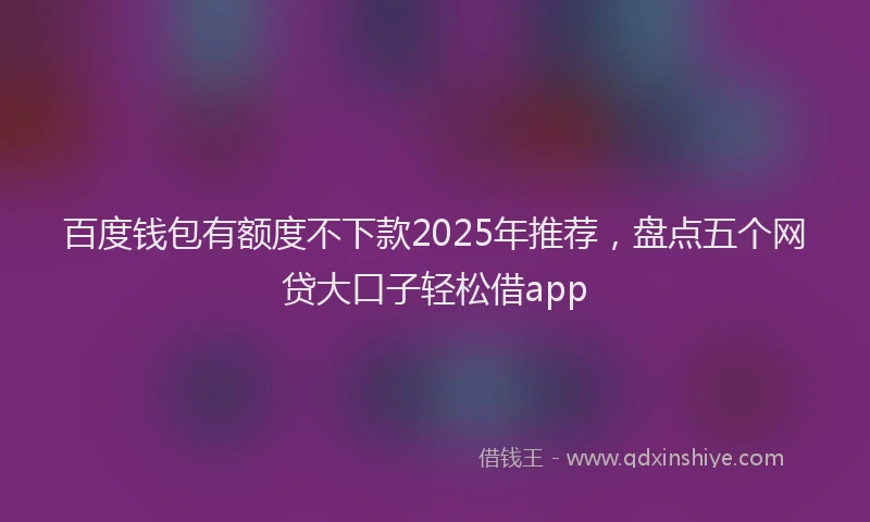 百度钱包有额度不下款2025年推荐，盘点五个网贷大口子轻松借app