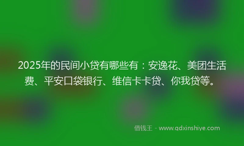 2025年的民间小贷有哪些有：安逸花、美团生活费、平安口袋银行、维信卡卡贷、你我贷等。