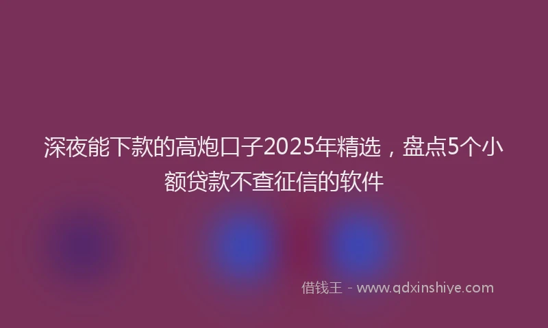 深夜能下款的高炮口子2025年精选，盘点5个小额贷款不查征信的软件