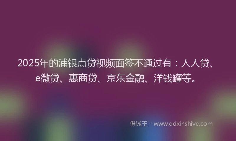2025年的浦银点贷视频面签不通过有：人人贷、e微贷、惠商贷、京东金融、洋钱罐等。