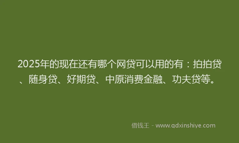 2025年的现在还有哪个网贷可以用的有：拍拍贷、随身贷、好期贷、中原消费金融、功夫贷等。