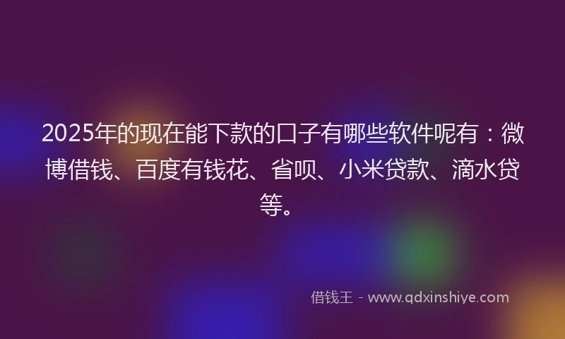 2025年的现在能下款的口子有哪些软件呢有：微博借钱、百度有钱花、省呗、小米贷款、滴水贷等。