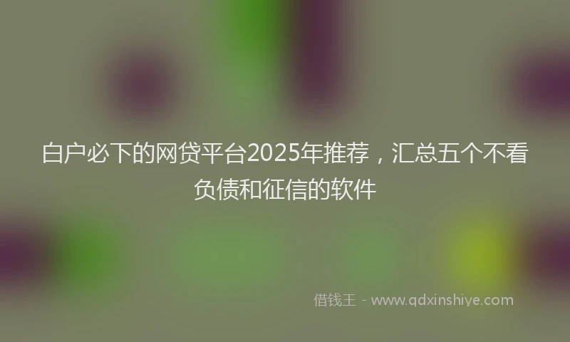 白户必下的网贷平台2025年推荐，汇总五个不看负债和征信的软件