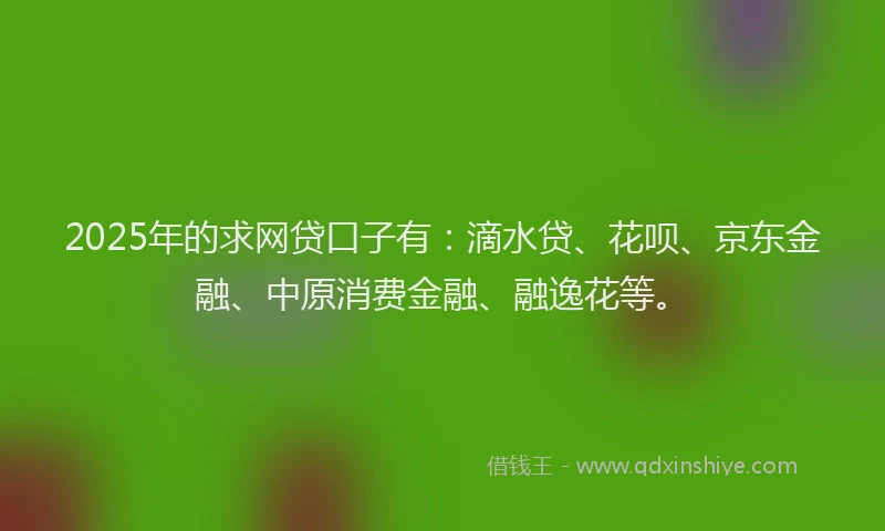 2025年的求网贷口子有：滴水贷、花呗、京东金融、中原消费金融、融逸花等。