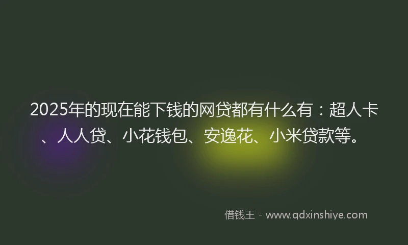 2025年的现在能下钱的网贷都有什么有：超人卡、人人贷、小花钱包、安逸花、小米贷款等。