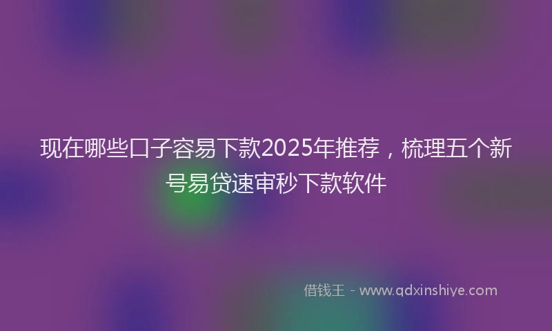 现在哪些口子容易下款2025年推荐，梳理五个新号易贷速审秒下款软件