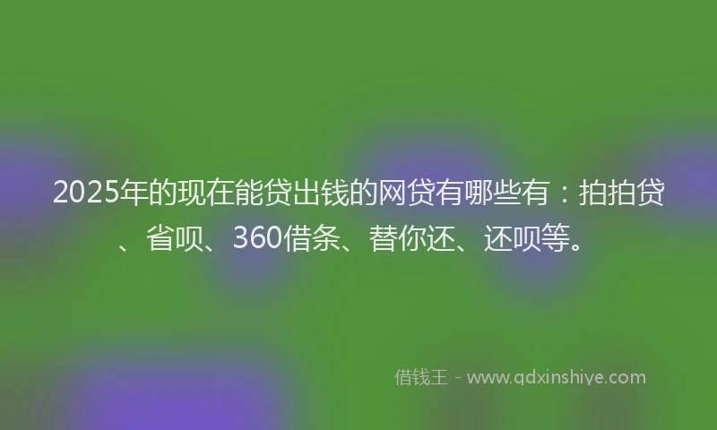 2025年的现在能贷出钱的网贷有哪些有：拍拍贷、省呗、360借条、替你还、还呗等。