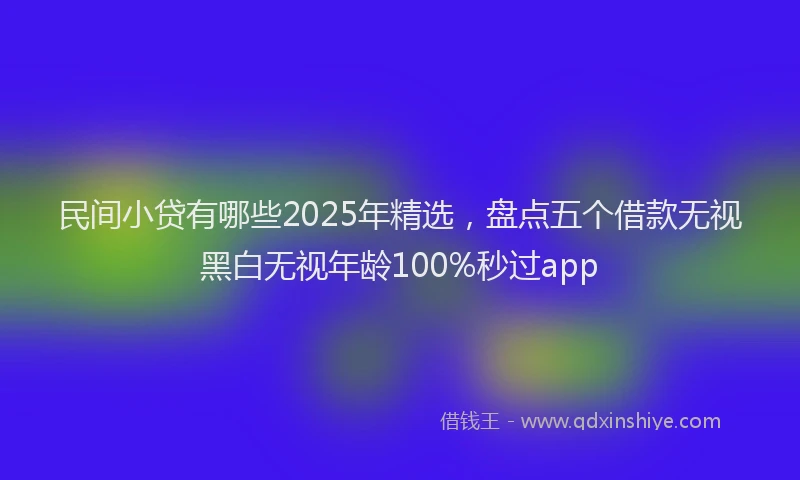 民间小贷有哪些2025年精选，盘点五个借款无视黑白无视年龄100%秒过app