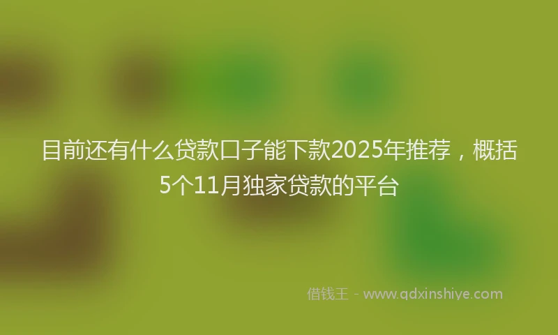 目前还有什么贷款口子能下款2025年推荐，概括5个11月独家贷款的平台