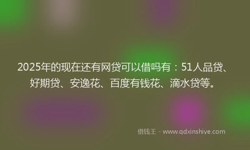 2025年的现在还有网贷可以借吗有：51人品贷、好期贷、安逸花、百度有钱花、滴水贷等。