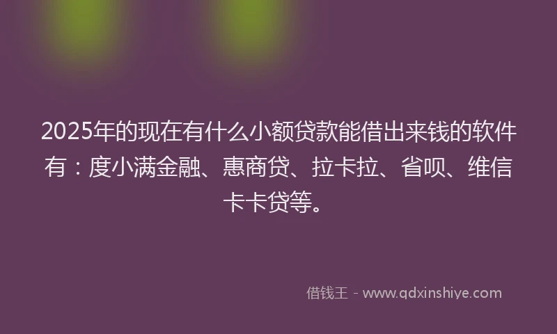 2025年的现在有什么小额贷款能借出来钱的软件有：度小满金融、惠商贷、拉卡拉、省呗、维信卡卡贷等。