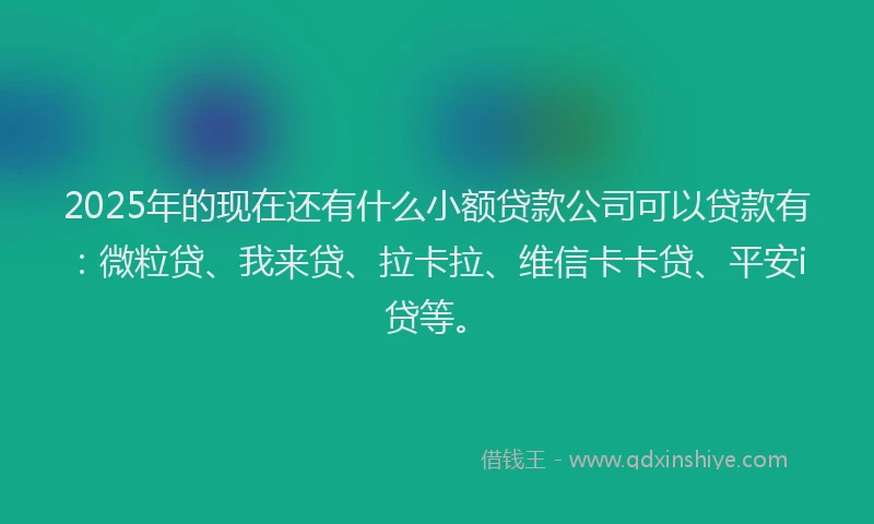 2025年的现在还有什么小额贷款公司可以贷款有：微粒贷、我来贷、拉卡拉、维信卡卡贷、平安i贷等。