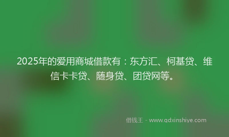 2025年的爱用商城借款有：东方汇、柯基贷、维信卡卡贷、随身贷、团贷网等。
