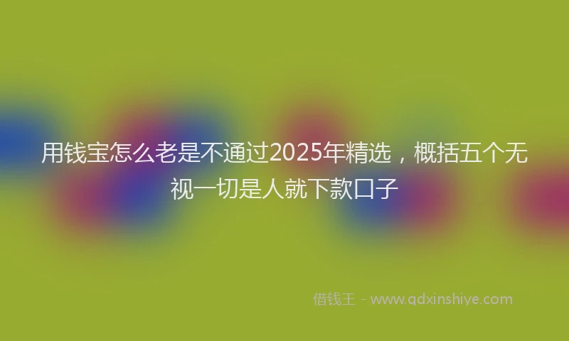 用钱宝怎么老是不通过2025年精选，概括五个无视一切是人就下款口子