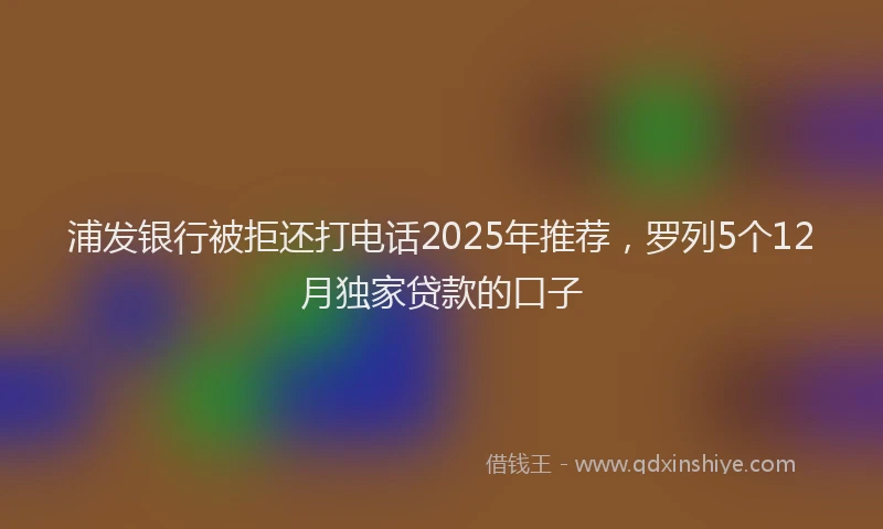 浦发银行被拒还打电话2025年推荐，罗列5个12月独家贷款的口子