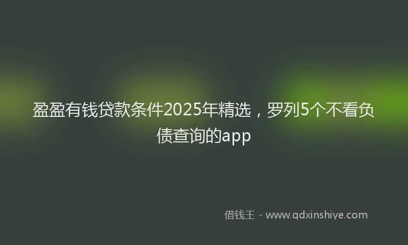盈盈有钱贷款条件2025年精选，罗列5个不看负债查询的app
