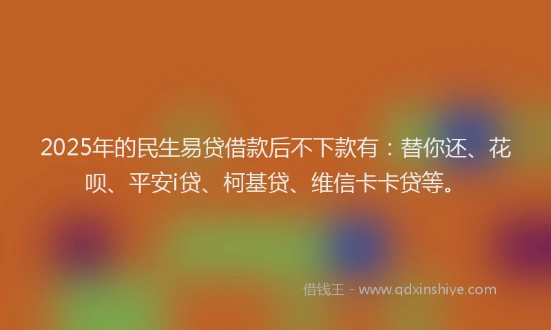 2025年的民生易贷借款后不下款有：替你还、花呗、平安i贷、柯基贷、维信卡卡贷等。
