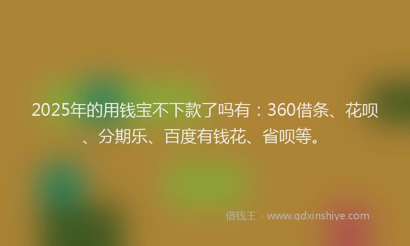 2025年的用钱宝不下款了吗有：360借条、花呗、分期乐、百度有钱花、省呗等。