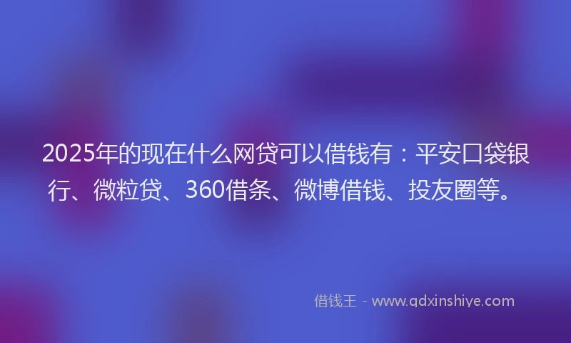 2025年的现在什么网贷可以借钱有：平安口袋银行、微粒贷、360借条、微博借钱、投友圈等。