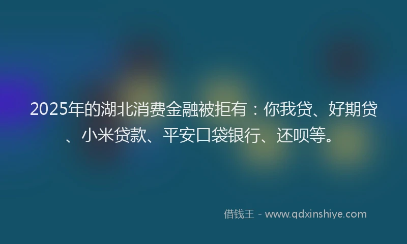 2025年的湖北消费金融被拒有：你我贷、好期贷、小米贷款、平安口袋银行、还呗等。