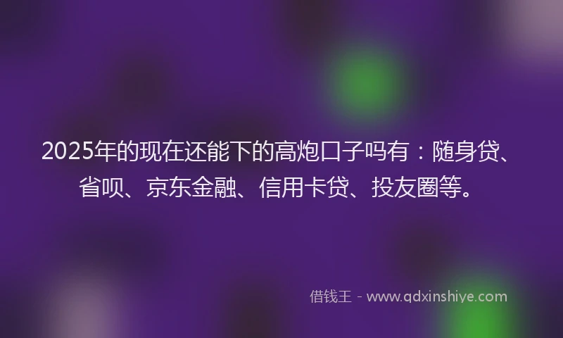 2025年的现在还能下的高炮口子吗有：随身贷、省呗、京东金融、信用卡贷、投友圈等。