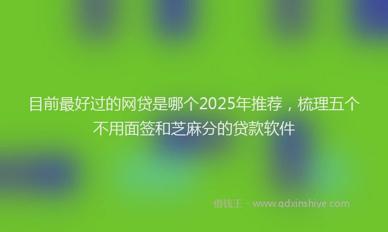 目前最好过的网贷是哪个2025年推荐，梳理五个不用面签和芝麻分的贷款软件