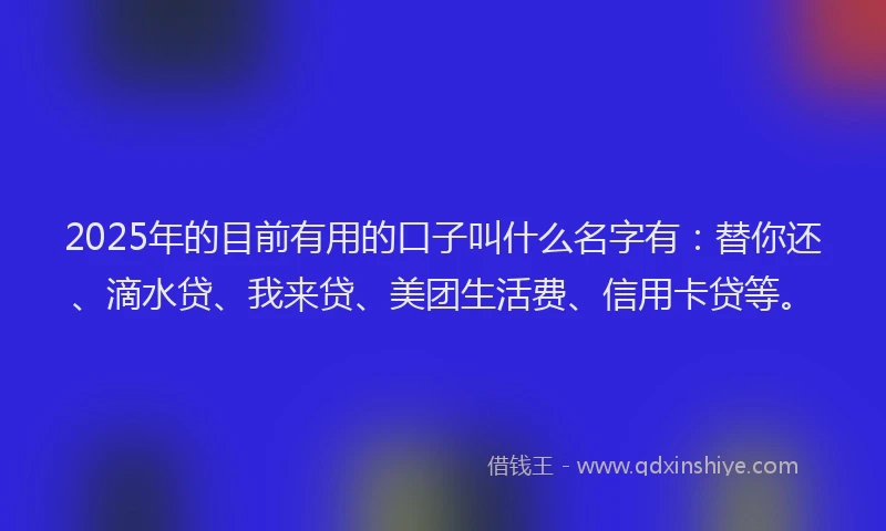 2025年的目前有用的口子叫什么名字有：替你还、滴水贷、我来贷、美团生活费、信用卡贷等。