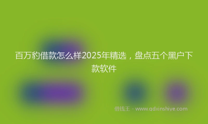 百万豹借款怎么样2025年精选，盘点五个黑户下款软件