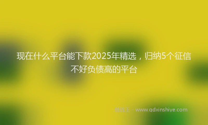 现在什么平台能下款2025年精选，归纳5个征信不好负债高的平台