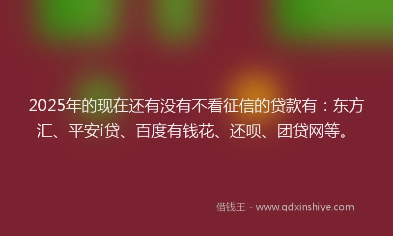 2025年的现在还有没有不看征信的贷款有：东方汇、平安i贷、百度有钱花、还呗、团贷网等。