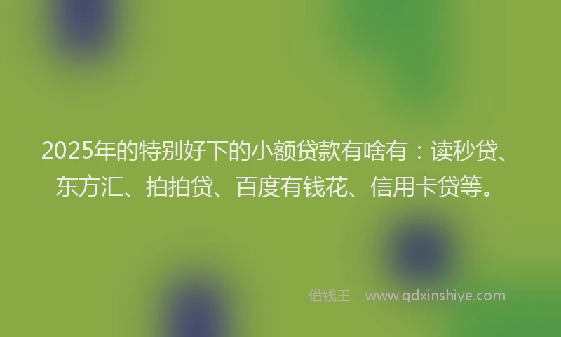 2025年的特别好下的小额贷款有啥有：读秒贷、东方汇、拍拍贷、百度有钱花、信用卡贷等。