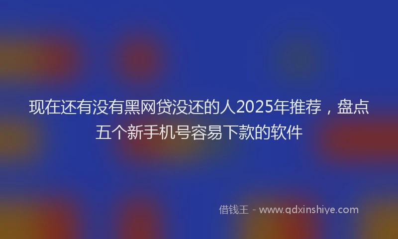 现在还有没有黑网贷没还的人2025年推荐，盘点五个新手机号容易下款的软件