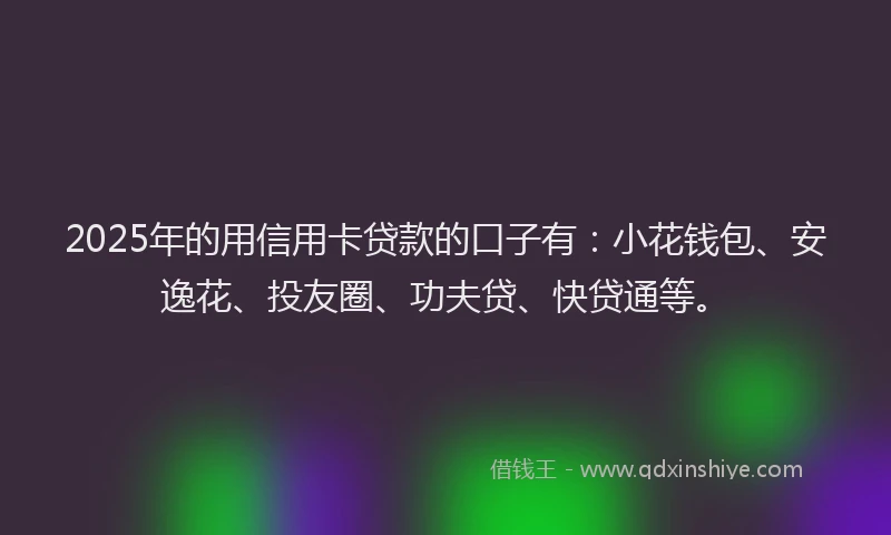 2025年的用信用卡贷款的口子有:小花钱包、安逸花、投友圈、功夫贷、快贷通等。