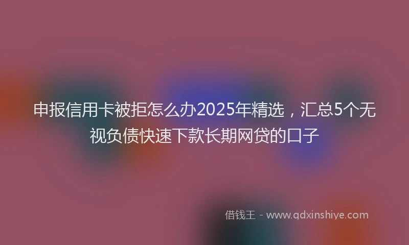 申报信用卡被拒怎么办2025年精选，汇总5个无视负债快速下款长期网贷的口子