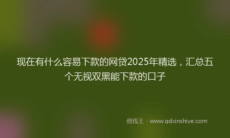 现在有什么容易下款的网贷2025年精选，汇总五个无视双黑能下款的口子