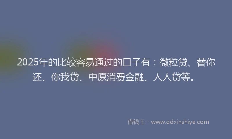 2025年的比较容易通过的口子有：微粒贷、替你还、你我贷、中原消费金融、人人贷等。