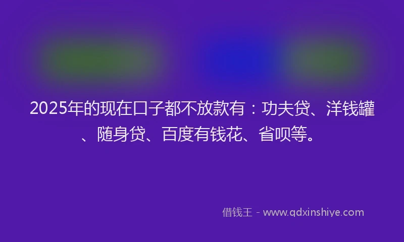 2025年的现在口子都不放款有：功夫贷、洋钱罐、随身贷、百度有钱花、省呗等。
