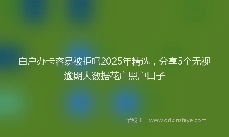 白户办卡容易被拒吗2025年精选，分享5个无视逾期大数据花户黑户口子