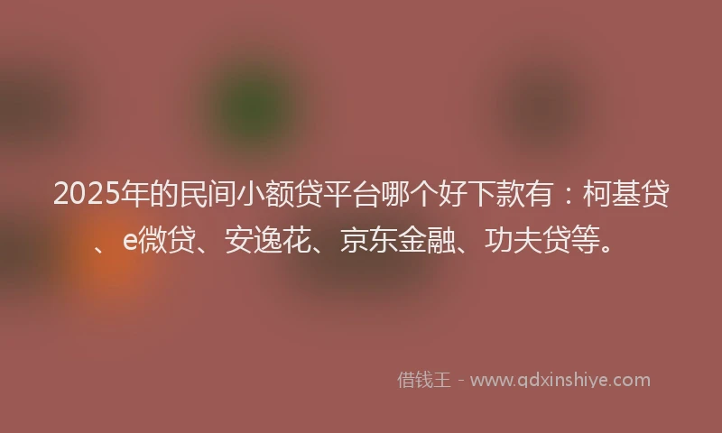 2025年的民间小额贷平台哪个好下款有：柯基贷、e微贷、安逸花、京东金融、功夫贷等。