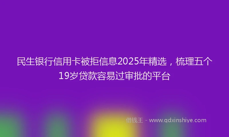 民生银行信用卡被拒信息2025年精选，梳理五个19岁贷款容易过审批的平台