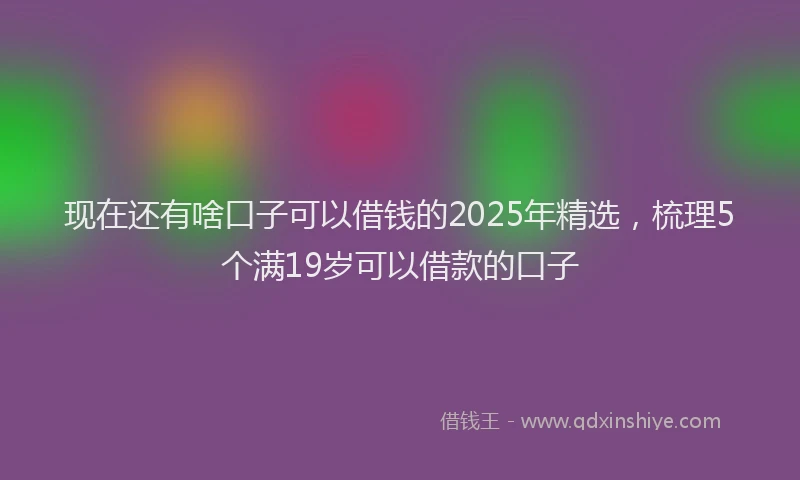 现在还有啥口子可以借钱的2025年精选，梳理5个满19岁可以借款的口子
