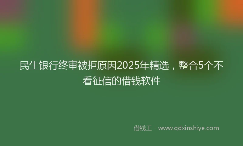 民生银行终审被拒原因2025年精选，整合5个不看征信的借钱软件