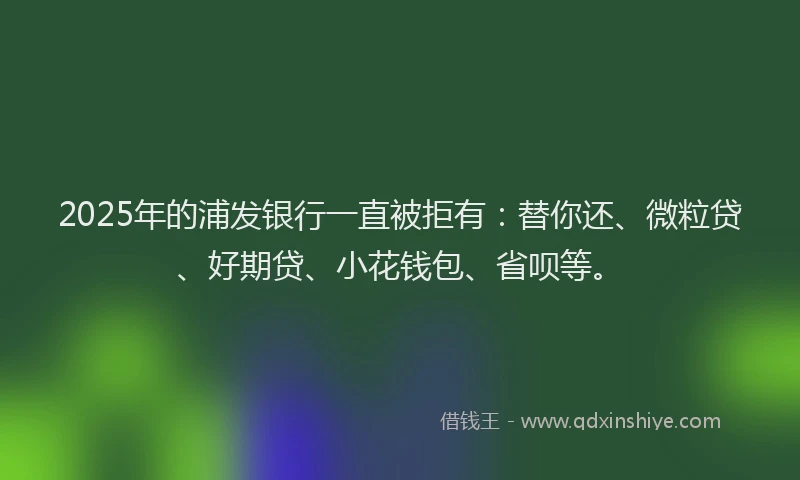 2025年的浦发银行一直被拒有：替你还、微粒贷、好期贷、小花钱包、省呗等。